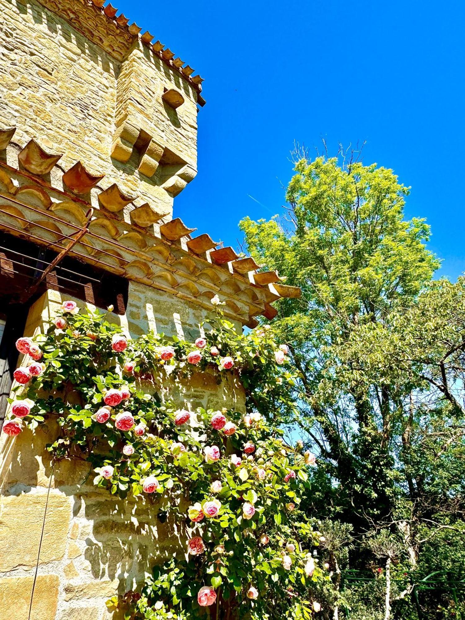 Chateau De Tournou Castelreng Esterno foto